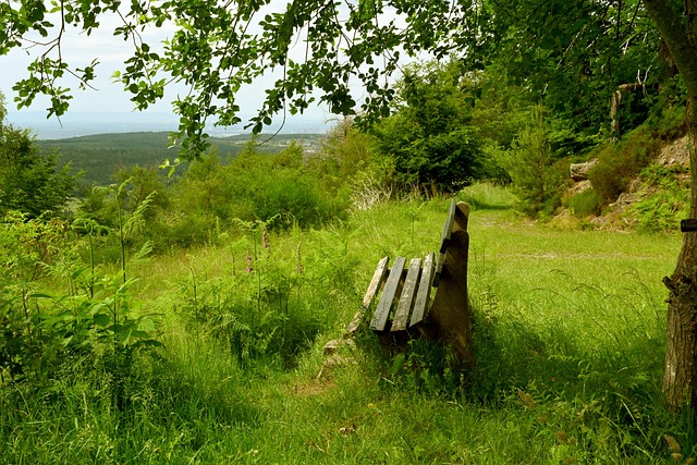 验上稍逊一 验上稍逊一