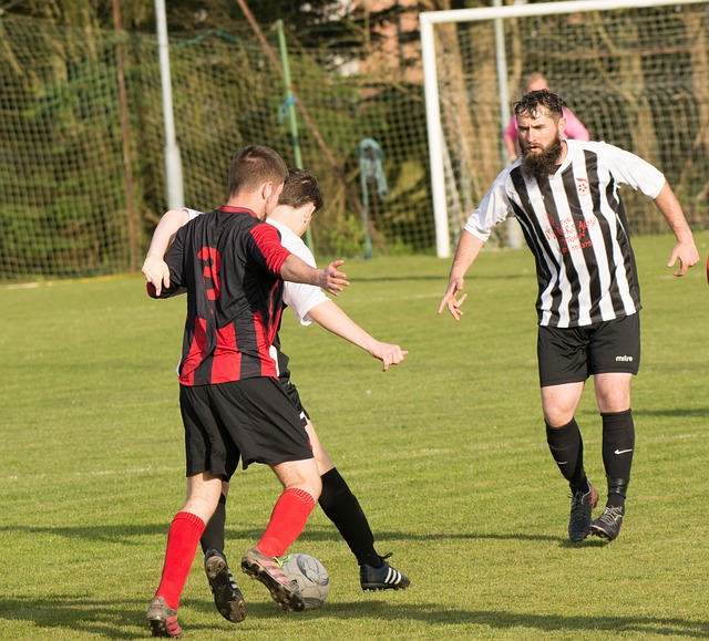 统与新锐的 统与新锐的