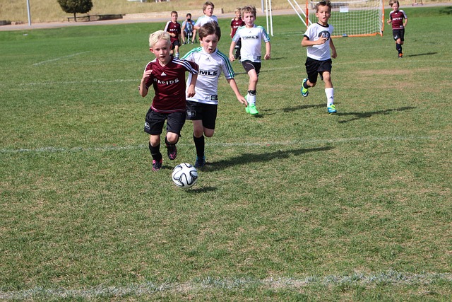 顶级联赛中 顶级联赛中