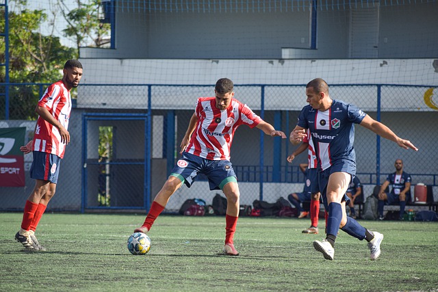 再到國際米 再到國際米