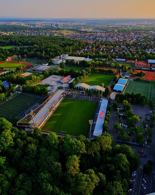 作為聯盟認 作為聯盟認